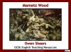 Mametz Wood Teaching Resources (slide 1/39)